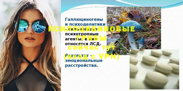 мет Пересвет