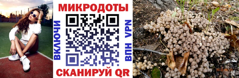 Псилоцибиновые грибы Psilocybe Покачи